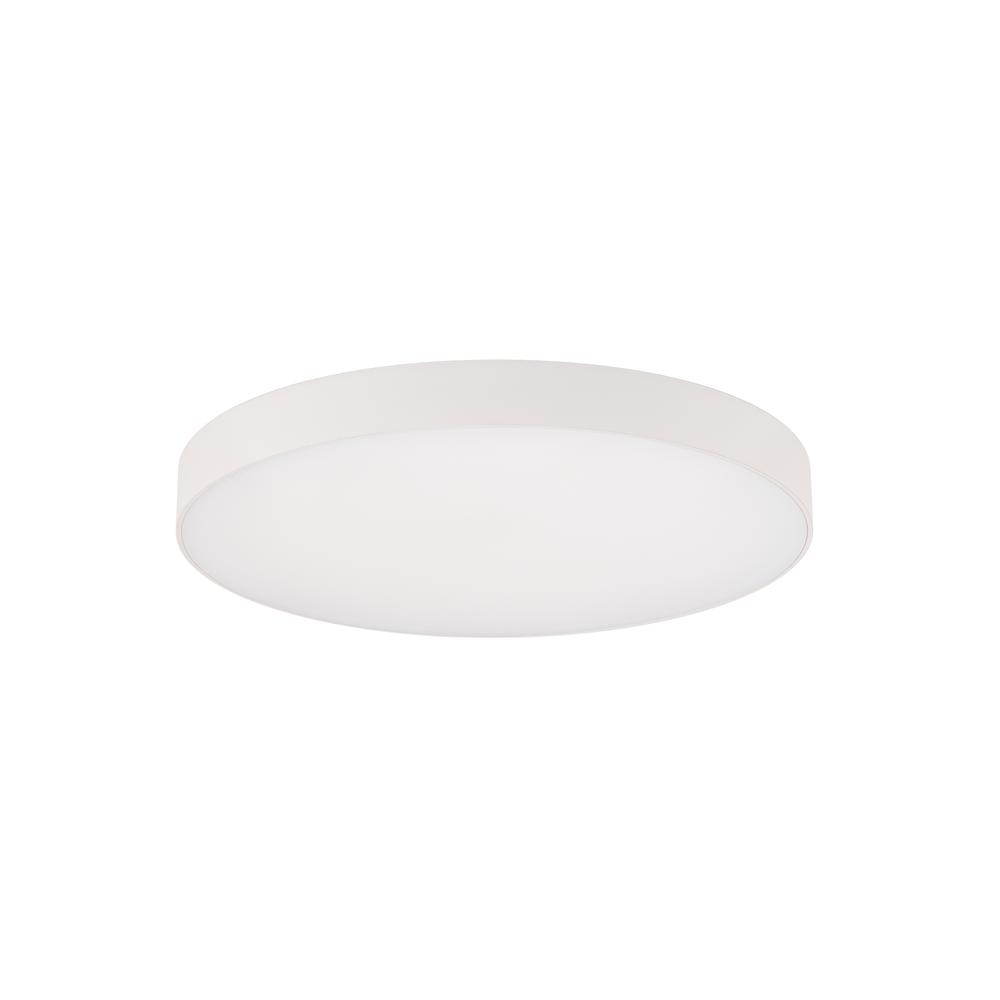 Edgeless 5" Flush Mount 5CCT