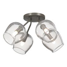 Hubbardton Forge - Canada 121370-SKT-07-ZM0709 - Ume 4-Light Semi-Flush