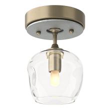 Hubbardton Forge - Canada 121372-SKT-84-82-ZM0709 - Ume 1-Light Semi-Flush