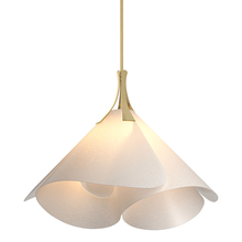 Hubbardton Forge - Canada 134503-SKT-MULT-86-SH1990 - Mobius Large Pendant